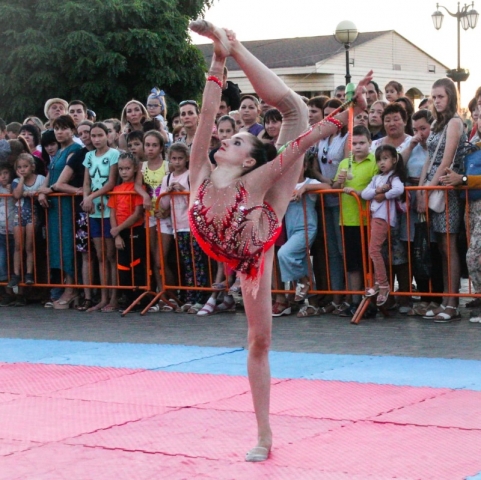 11 августа у Петровского фонтана праздновался Всероссийский день физкультурника